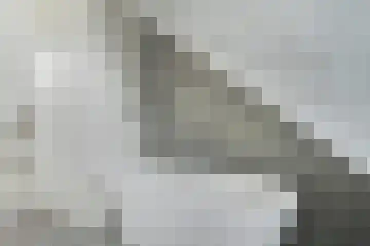 Graaf Engelbertlaan 88 Breda thumbnail 39