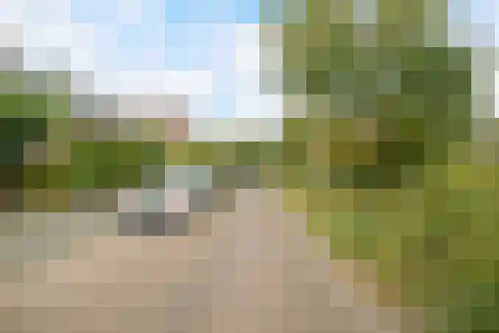 Graaf Engelbertlaan 88 Breda thumbnail 45