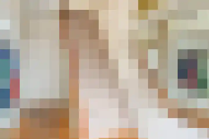 Graaf Engelbrechtlaan 13 Leidschendam thumbnail 10