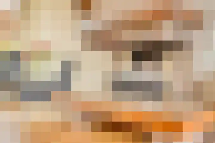 Graaf Engelbrechtlaan 13 Leidschendam thumbnail 16