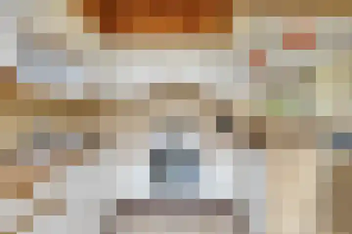 Graaf Engelbrechtlaan 13 Leidschendam thumbnail 18