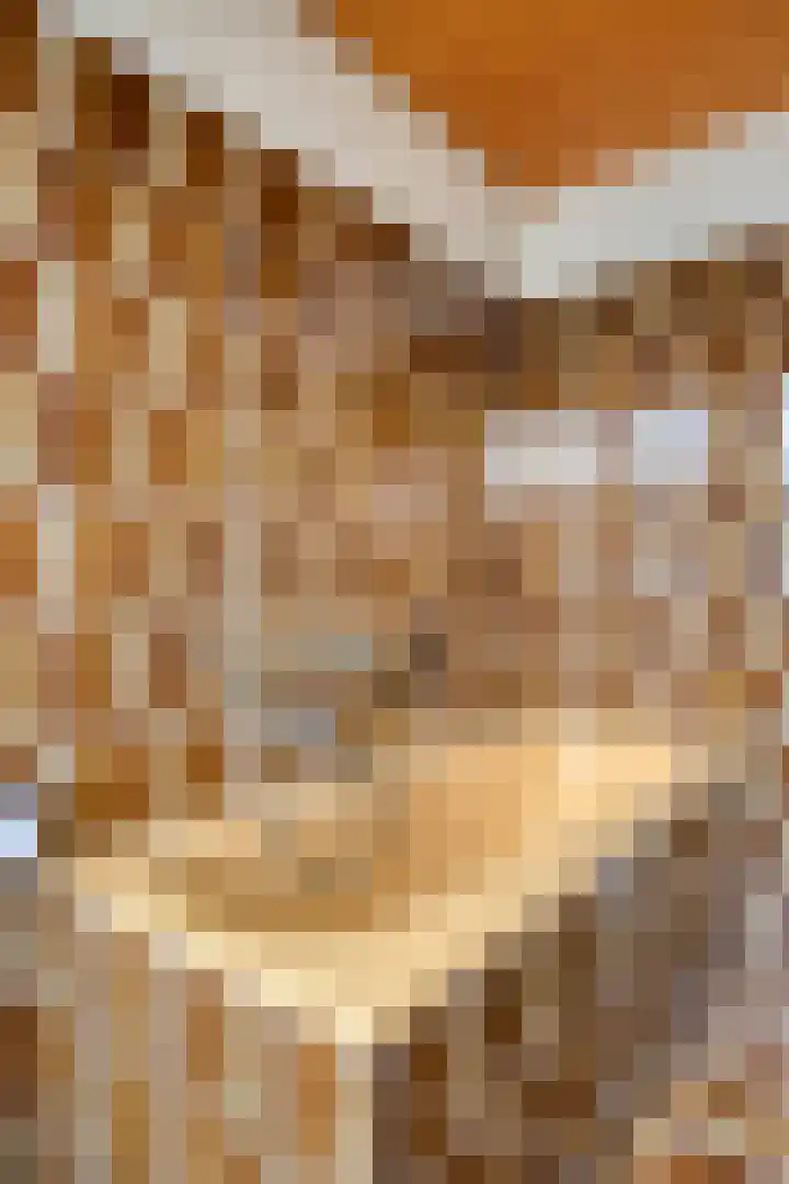 Graaf Engelbrechtlaan 13 Leidschendam thumbnail 26