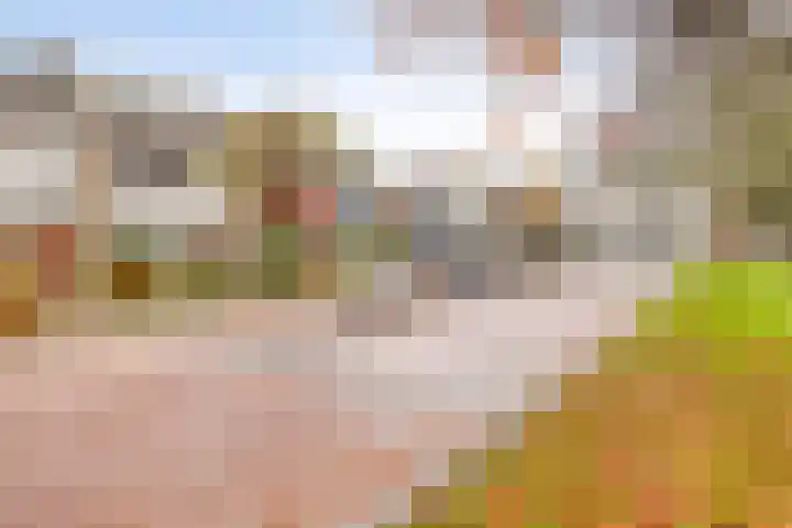 Graaf Engelbrechtlaan 13 Leidschendam thumbnail 7