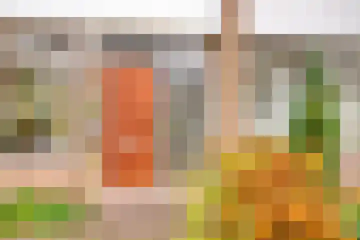 Graaf Engelbrechtlaan 13 Leidschendam thumbnail 8