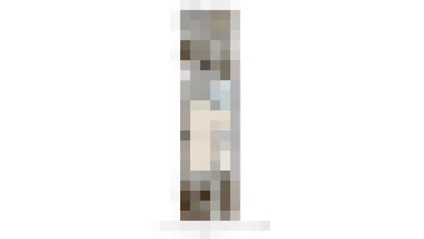 Graaf Engelbrechtlaan 15 Leidschendam thumbnail 31