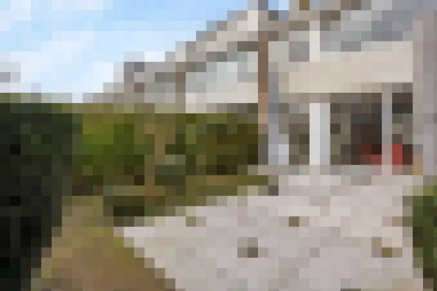 Graaf Engelbrechtlaan 9 Leidschendam thumbnail 19