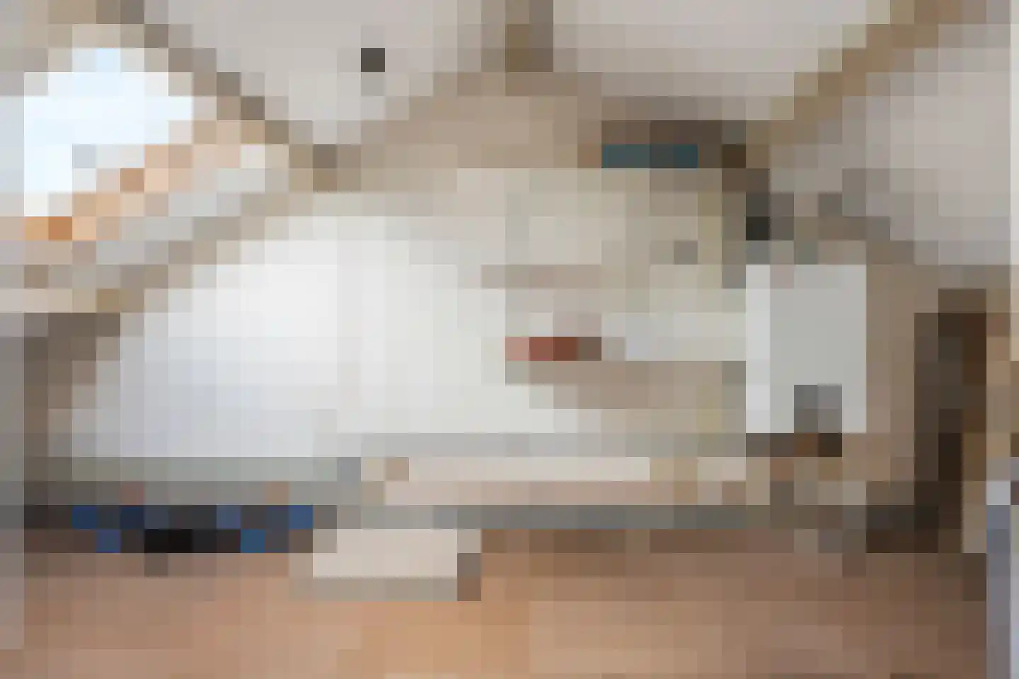 Graaf Engelbrechtlaan 9 Leidschendam thumbnail 32
