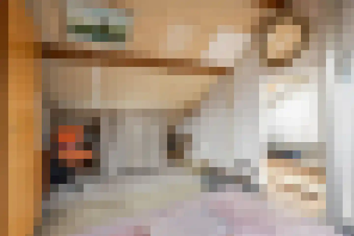 Graaf Engelbrechtlaan 9 Leidschendam thumbnail 34