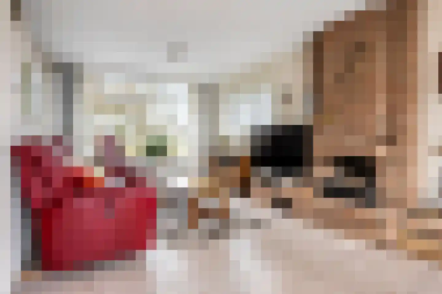 Graaf Engelbrechtlaan 9 Leidschendam thumbnail 9