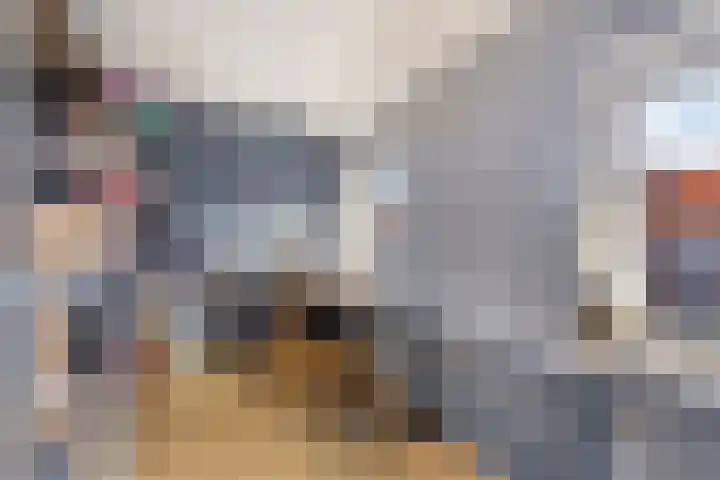 Graaf Engelbrechtstraat 26 Oosterhout thumbnail 20