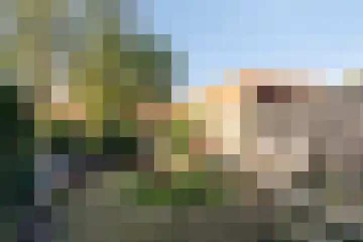 Graaf Engelbrechtstraat 26 Oosterhout thumbnail 22