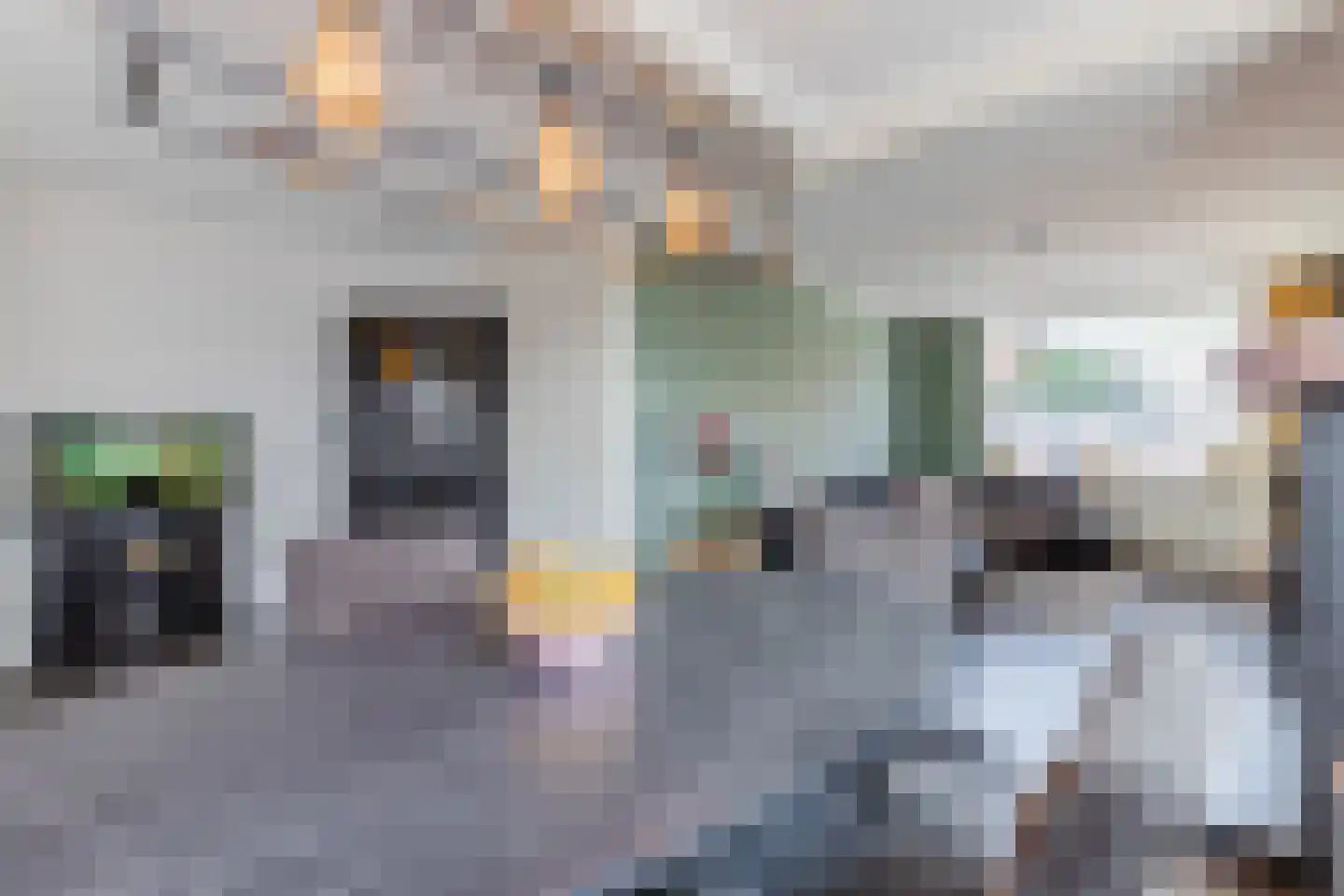 Graaf Engelbrechtstraat 47 Kruisland thumbnail 16