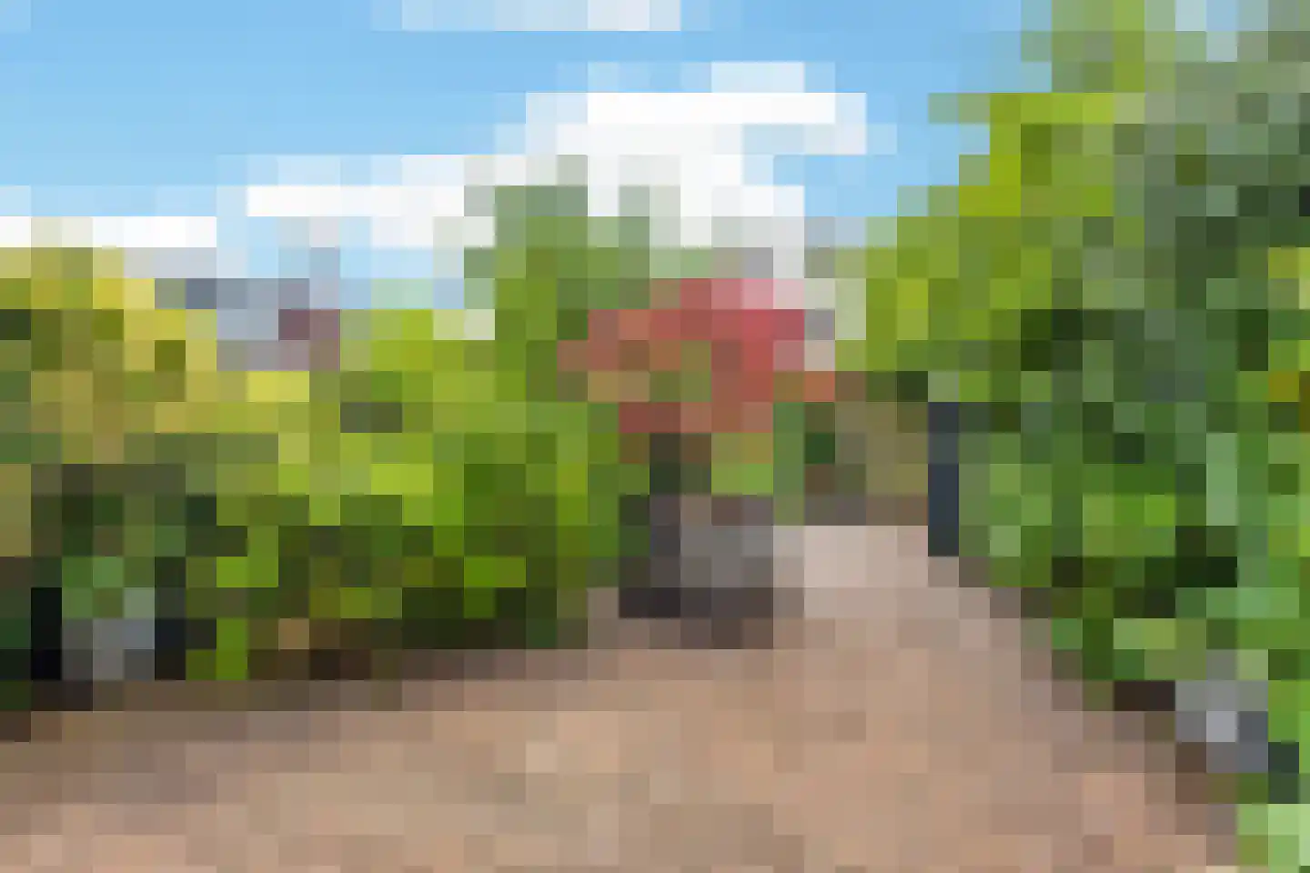 Graaf Ferdinandlaan 4 Nieuwegein thumbnail 15