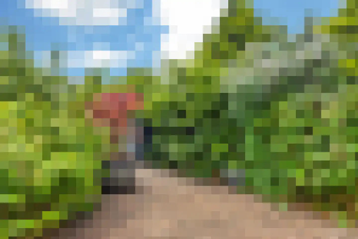 Graaf Ferdinandlaan 4 Nieuwegein thumbnail 16