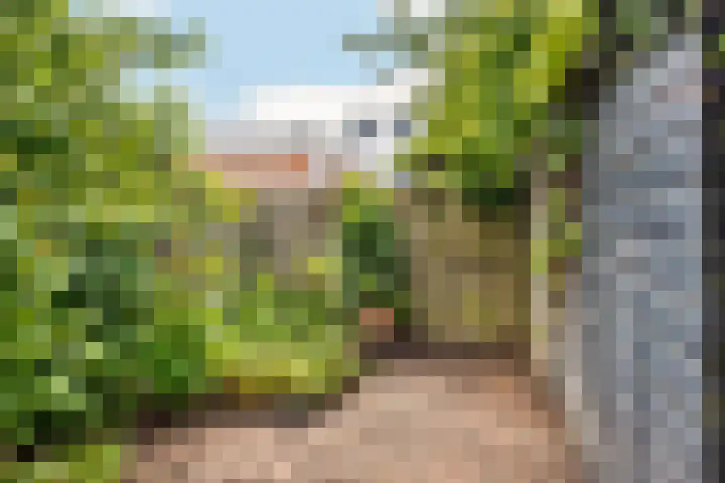 Graaf Ferdinandlaan 4 Nieuwegein thumbnail 17