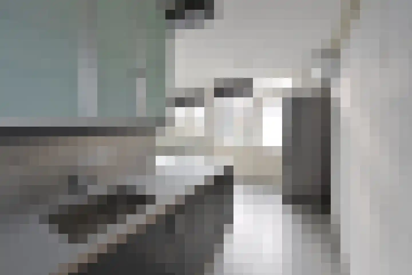 Graaf Floris 10 Huizen thumbnail 6