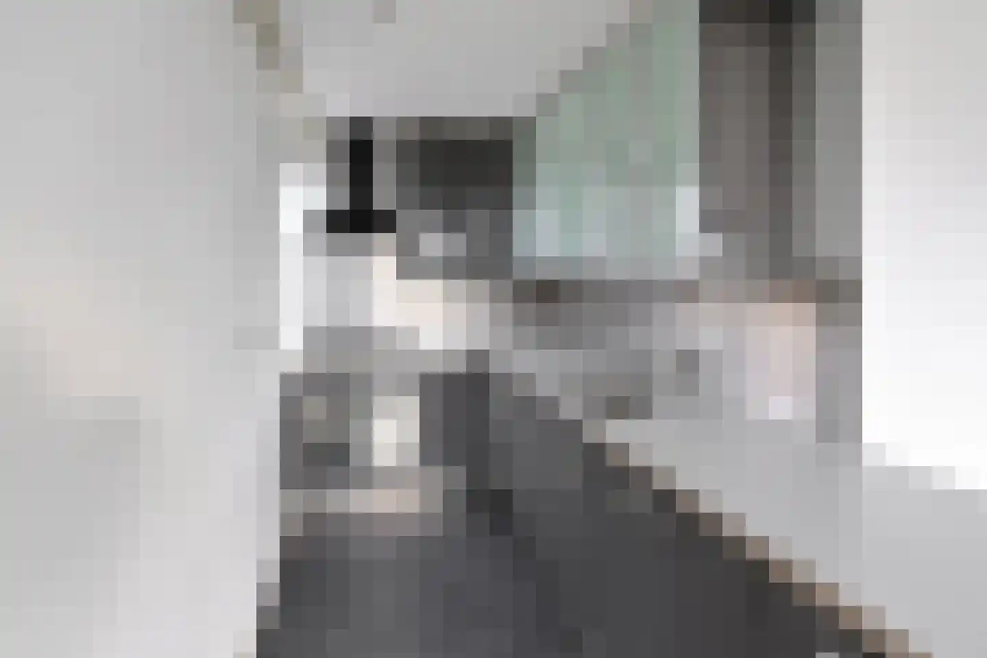 Graaf Floris 10 Huizen thumbnail 7