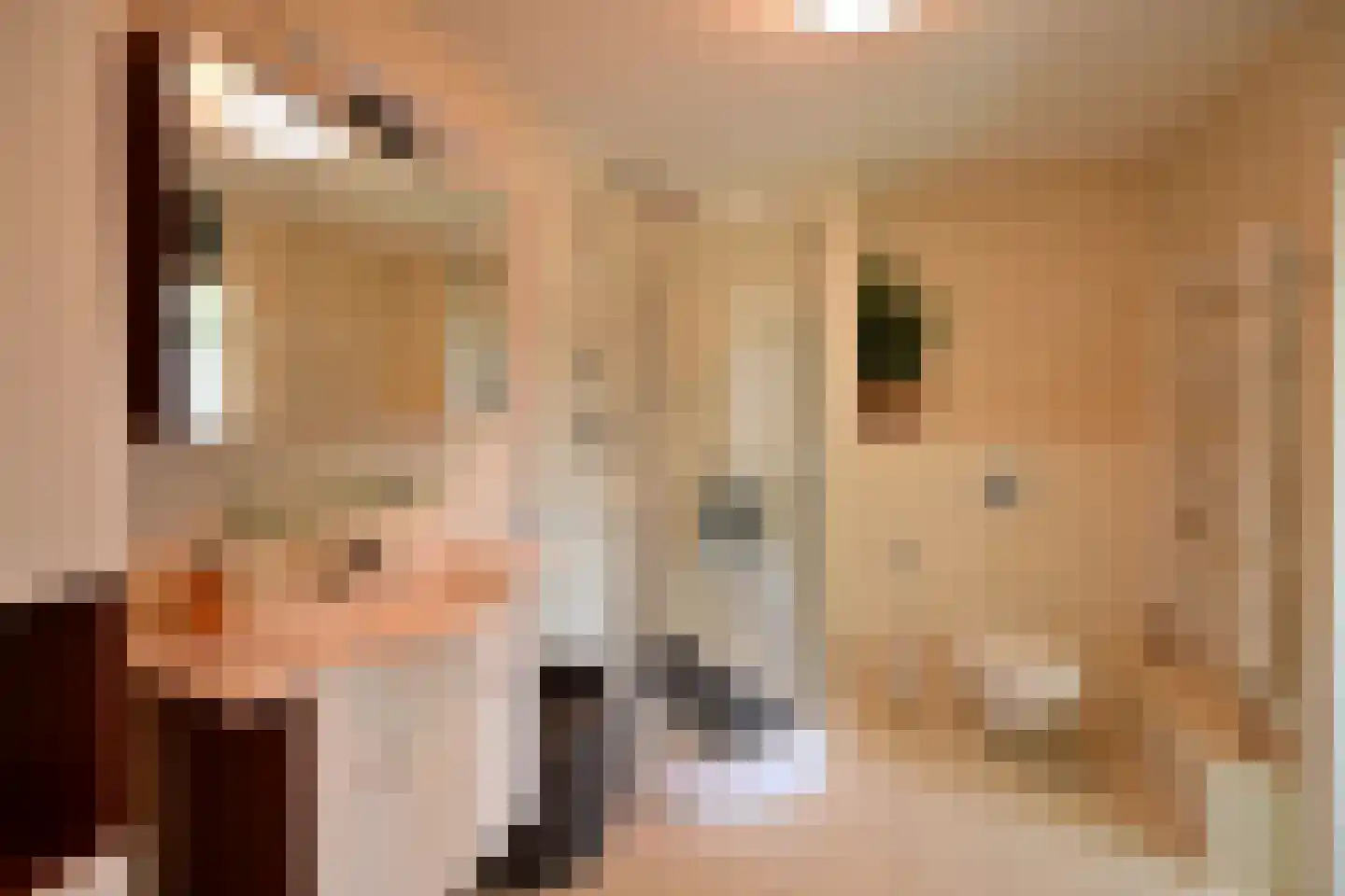 Graaf Floris 23 Huizen thumbnail 12