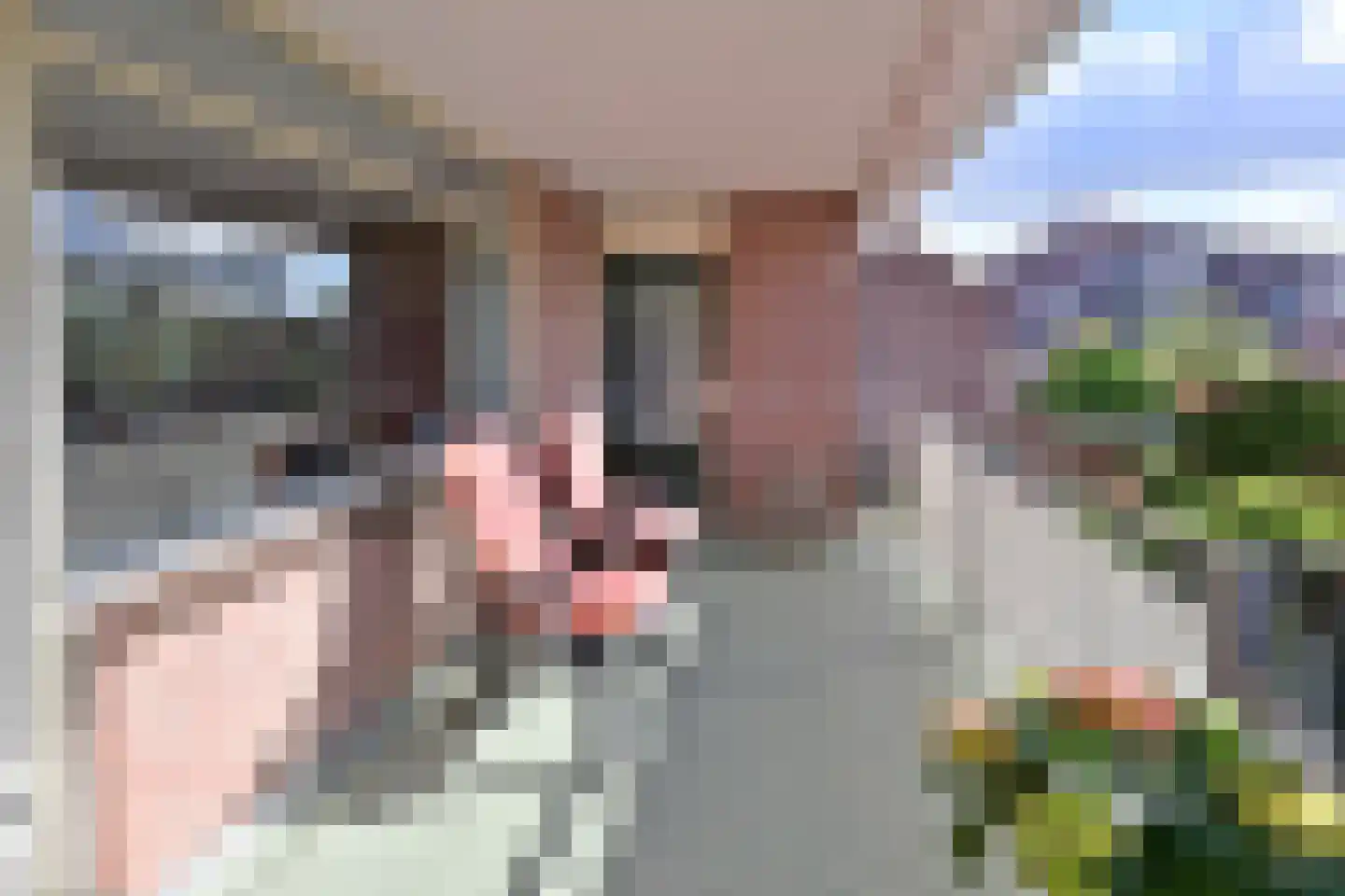 Graaf Floris 23 Huizen thumbnail 14