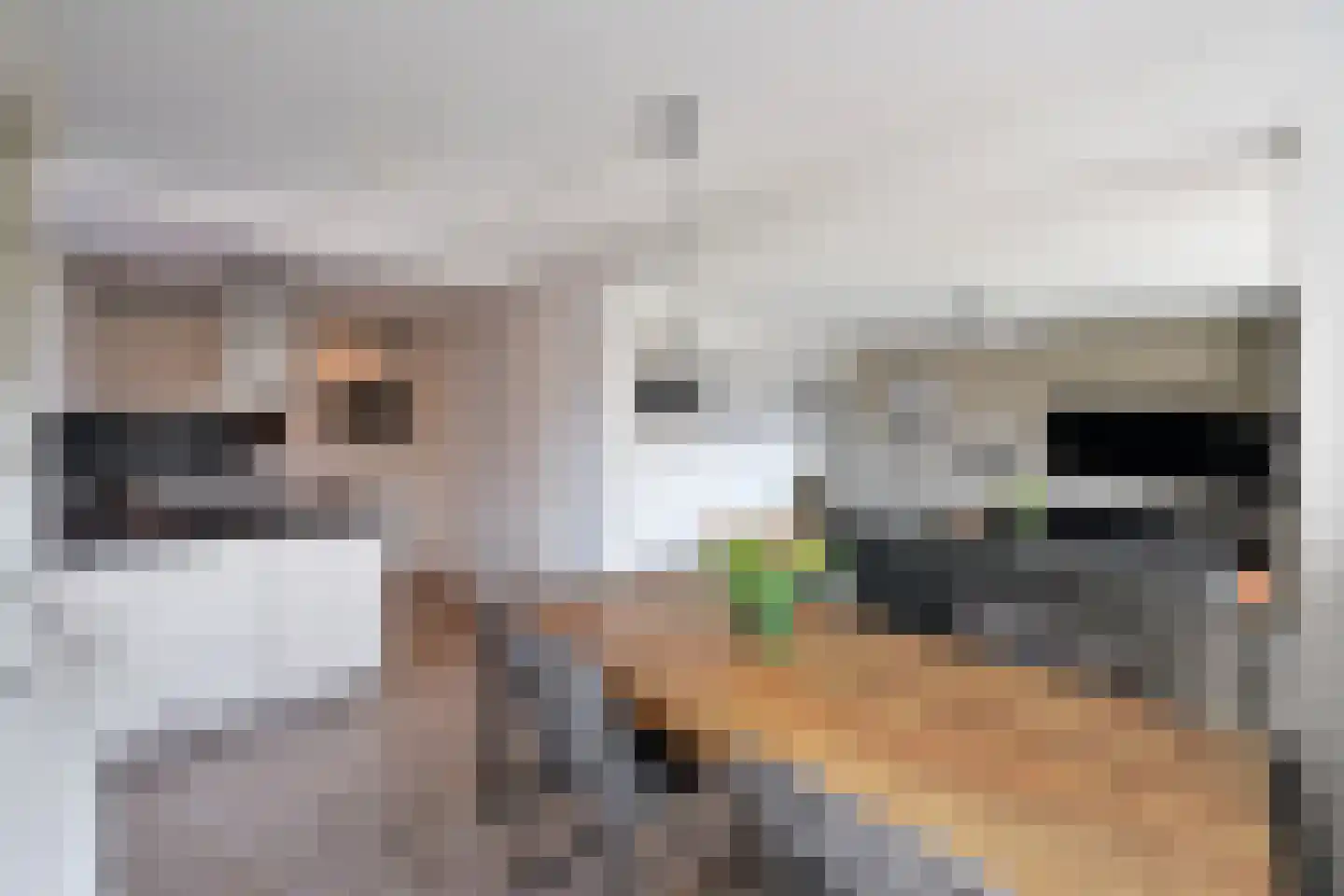 Graaf Floris 23 Huizen thumbnail 4