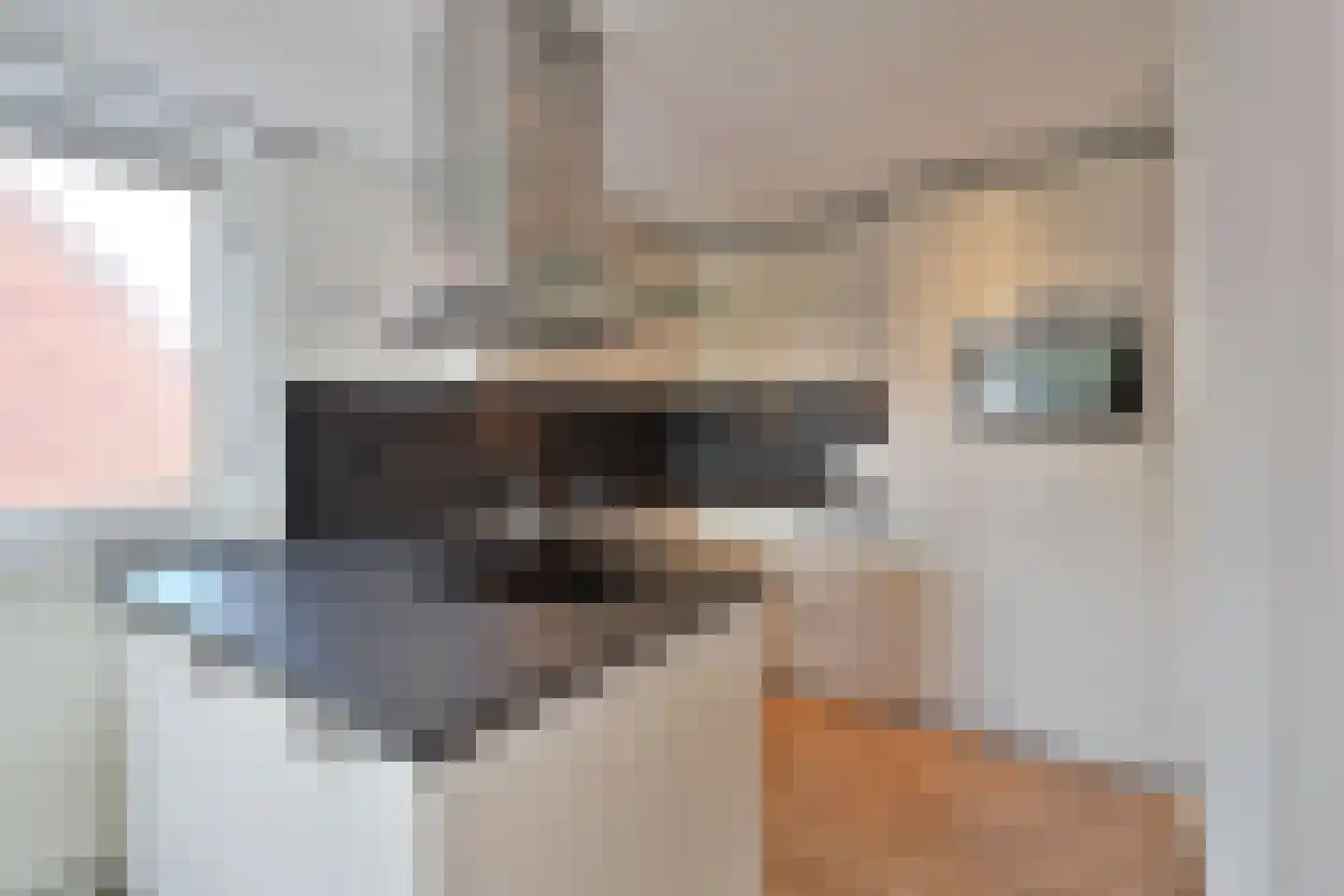 Graaf Floris 23 Huizen thumbnail 9