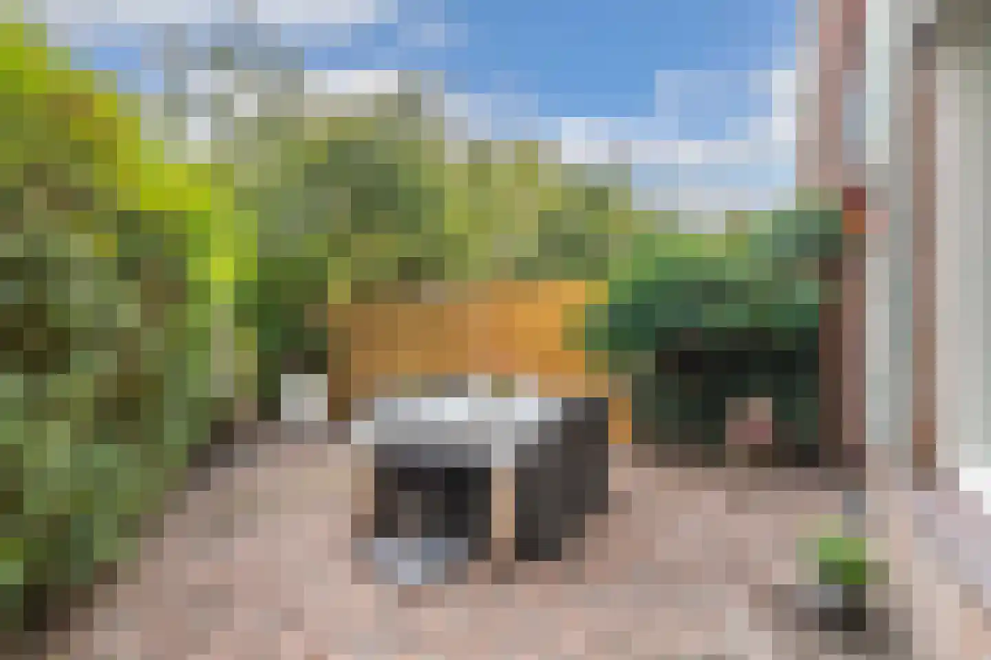 Graaf Floris 26 Huizen thumbnail 15