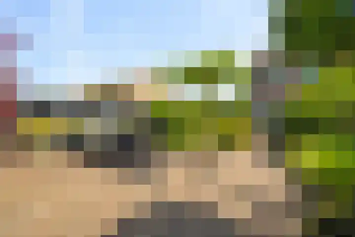 Graaf Floris V straat 11 Den Helder thumbnail 33