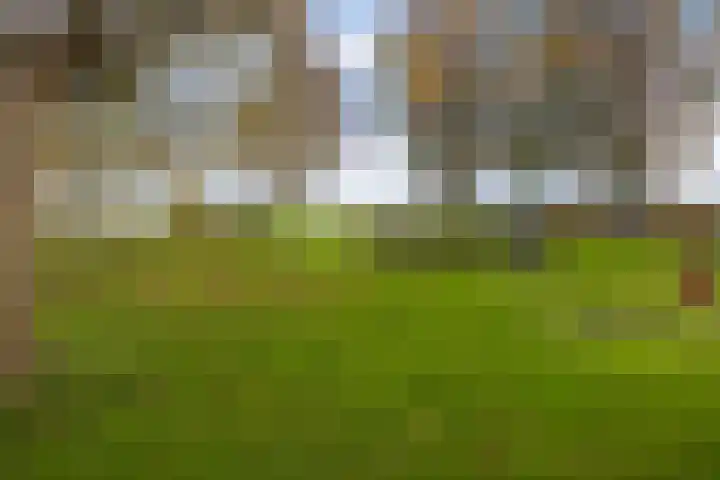 Graaf Floris V straat 11 Den Helder thumbnail 9