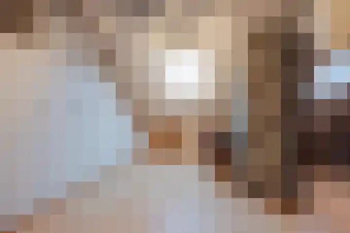 Graaf Floris V straat 5 Geertruidenberg thumbnail 39