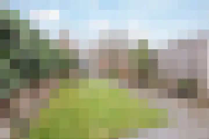 Graaf Floris V straat 5 Geertruidenberg thumbnail 43