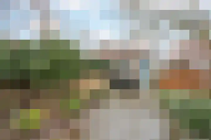 Graaf Floris V straat 5 Geertruidenberg thumbnail 44