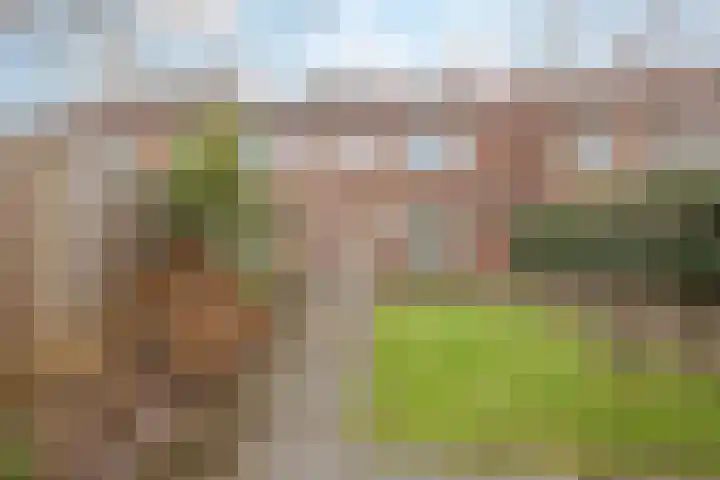 Graaf Floris V straat 5 Geertruidenberg thumbnail 45