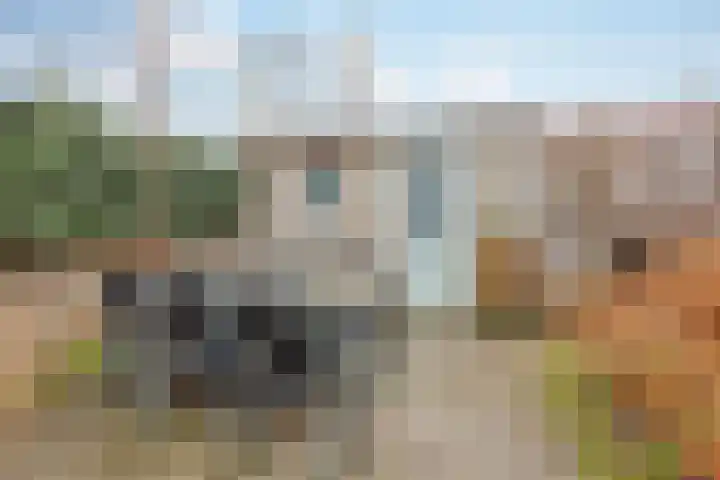 Graaf Floris V straat 5 Geertruidenberg thumbnail 46