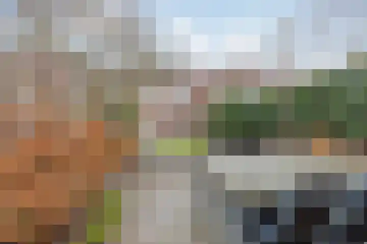 Graaf Floris V straat 5 Geertruidenberg thumbnail 6
