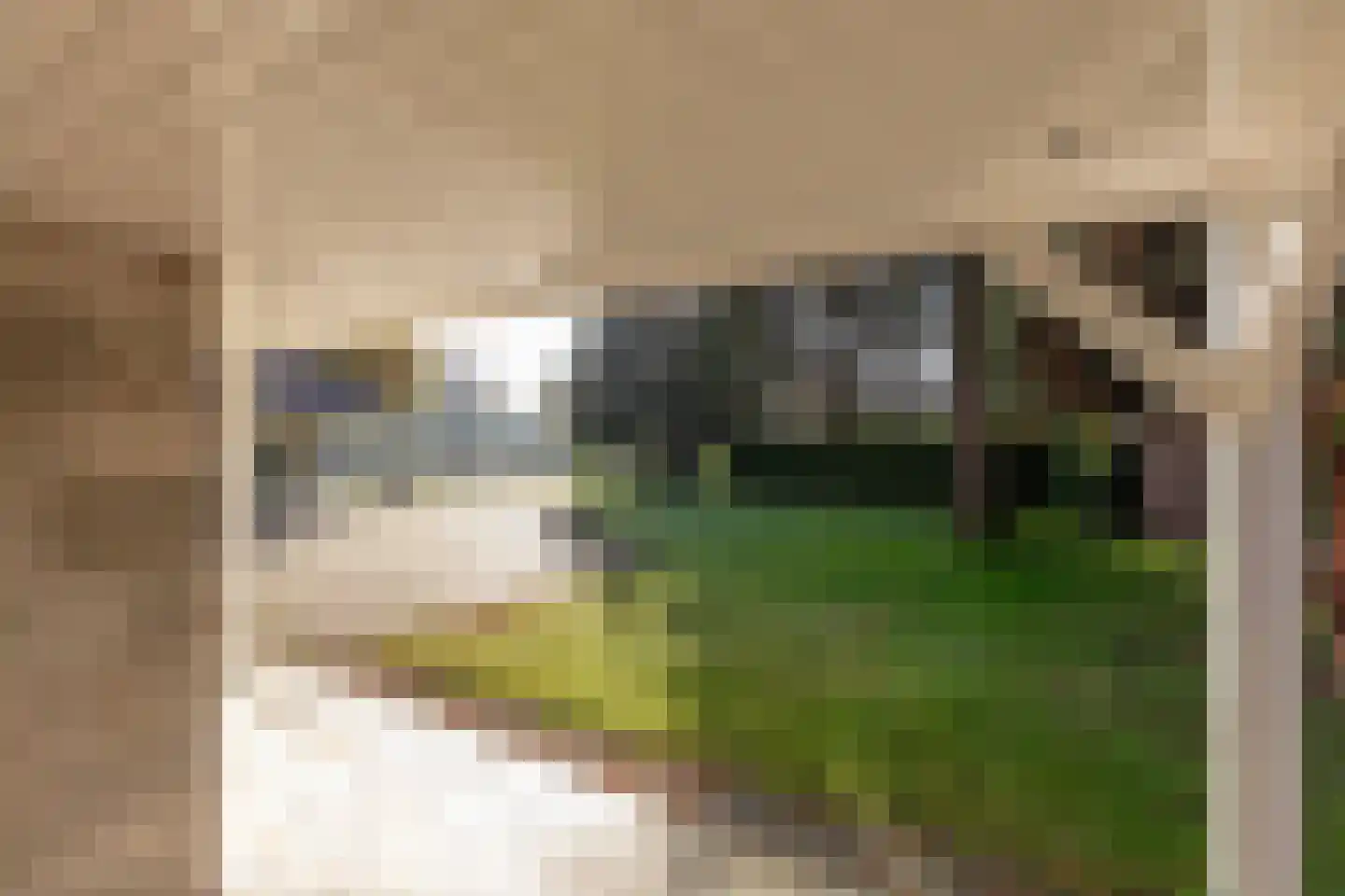 Graaf Floris V weg 30 Hollandsche Rading thumbnail 23