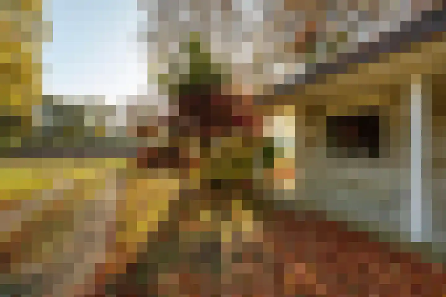 Graaf Floris V weg 30 Hollandsche Rading thumbnail 25