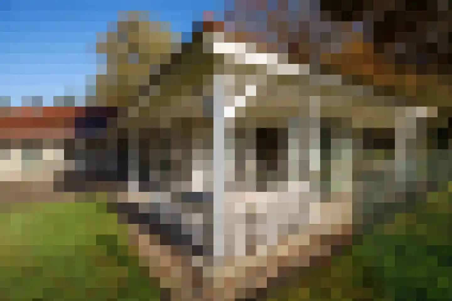 Graaf Floris V weg 30 Hollandsche Rading thumbnail 28
