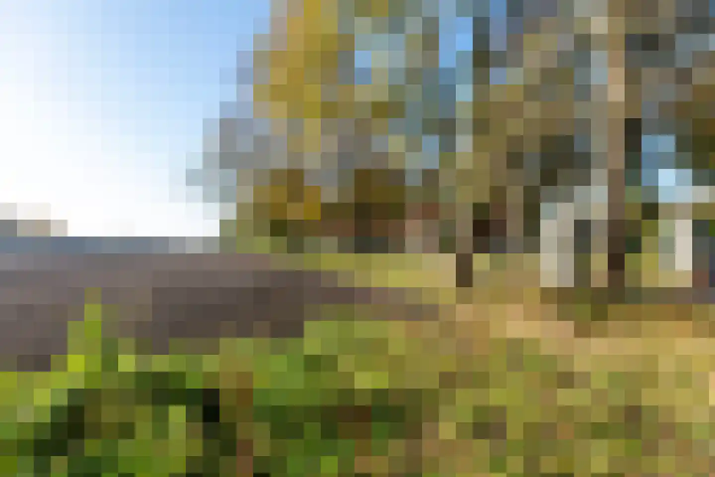 Graaf Floris V weg 30 Hollandsche Rading thumbnail 31