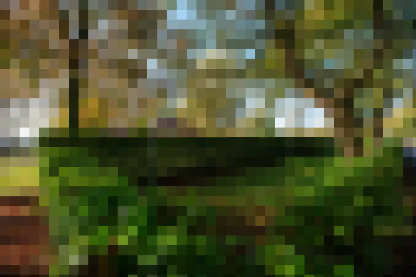 Graaf Floris V weg 30 Hollandsche Rading thumbnail 32