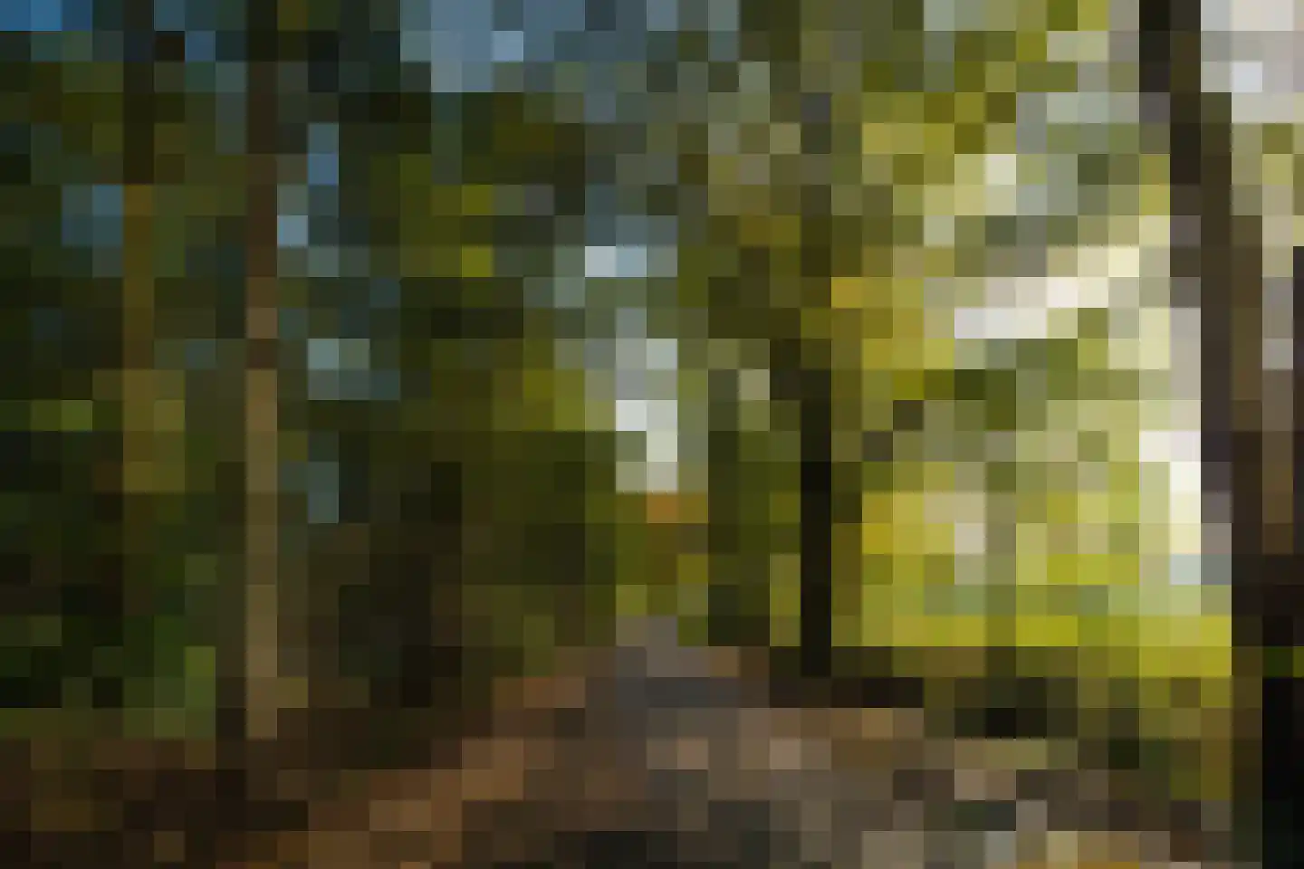 Graaf Floris V weg 30 Hollandsche Rading thumbnail 33
