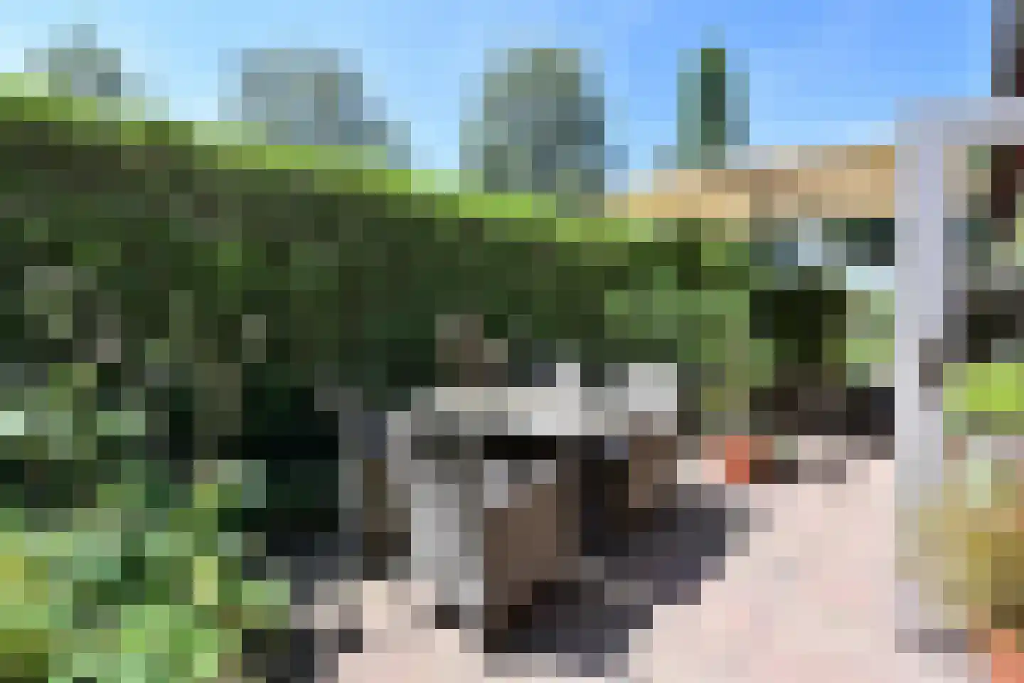 Graaf Floris V weg 32 30 Hollandsche Rading thumbnail 11