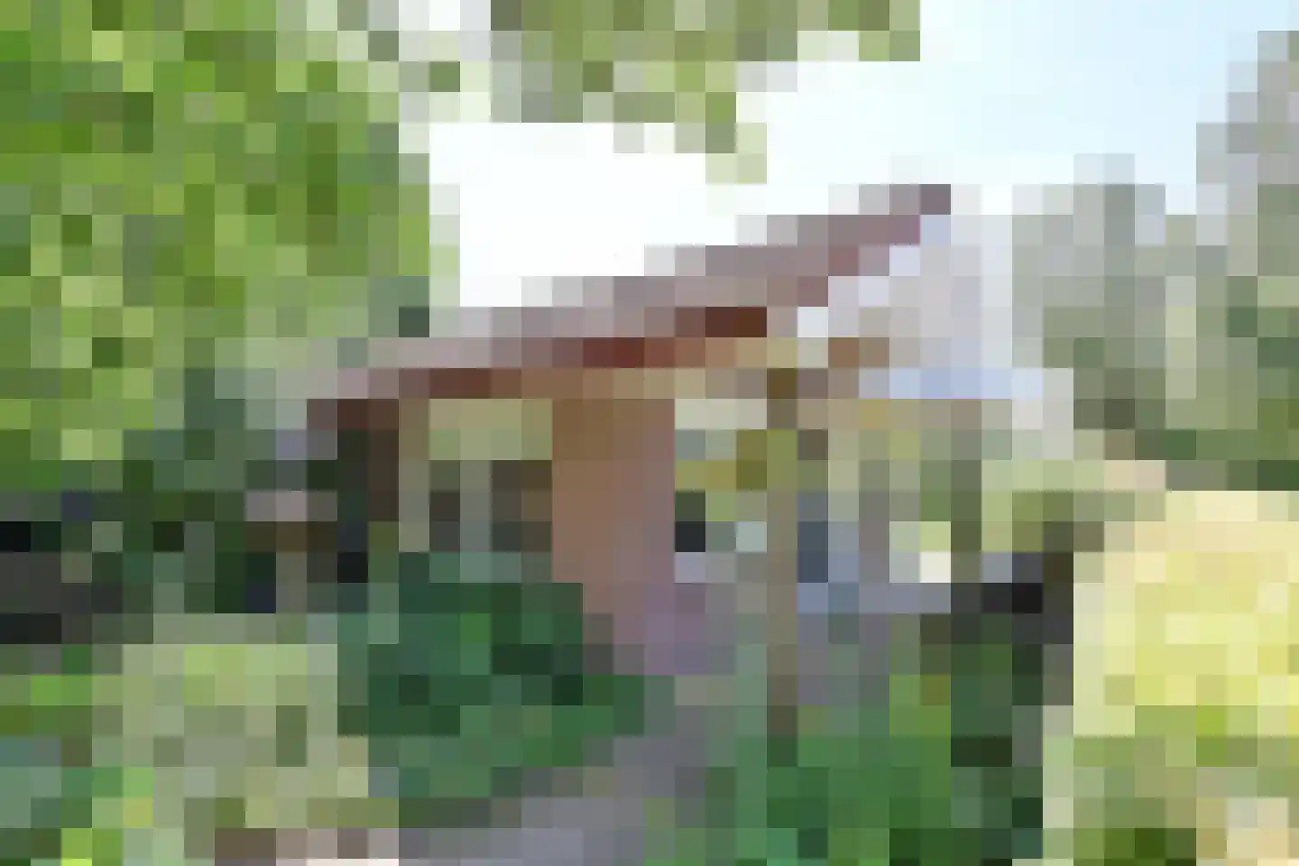 Graaf Floris V weg 32 30 Hollandsche Rading thumbnail 15