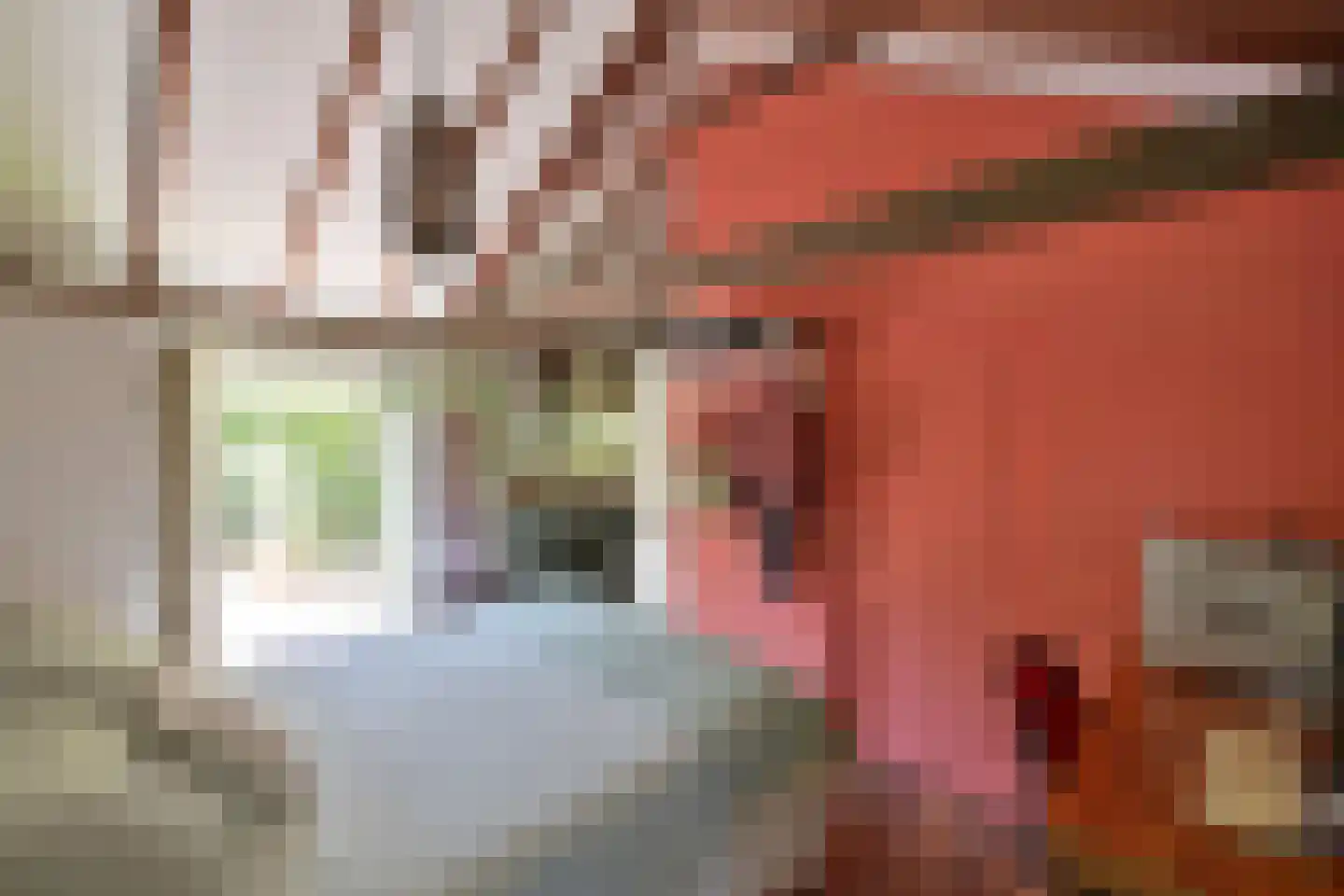 Graaf Floris V weg 32 30 Hollandsche Rading thumbnail 8