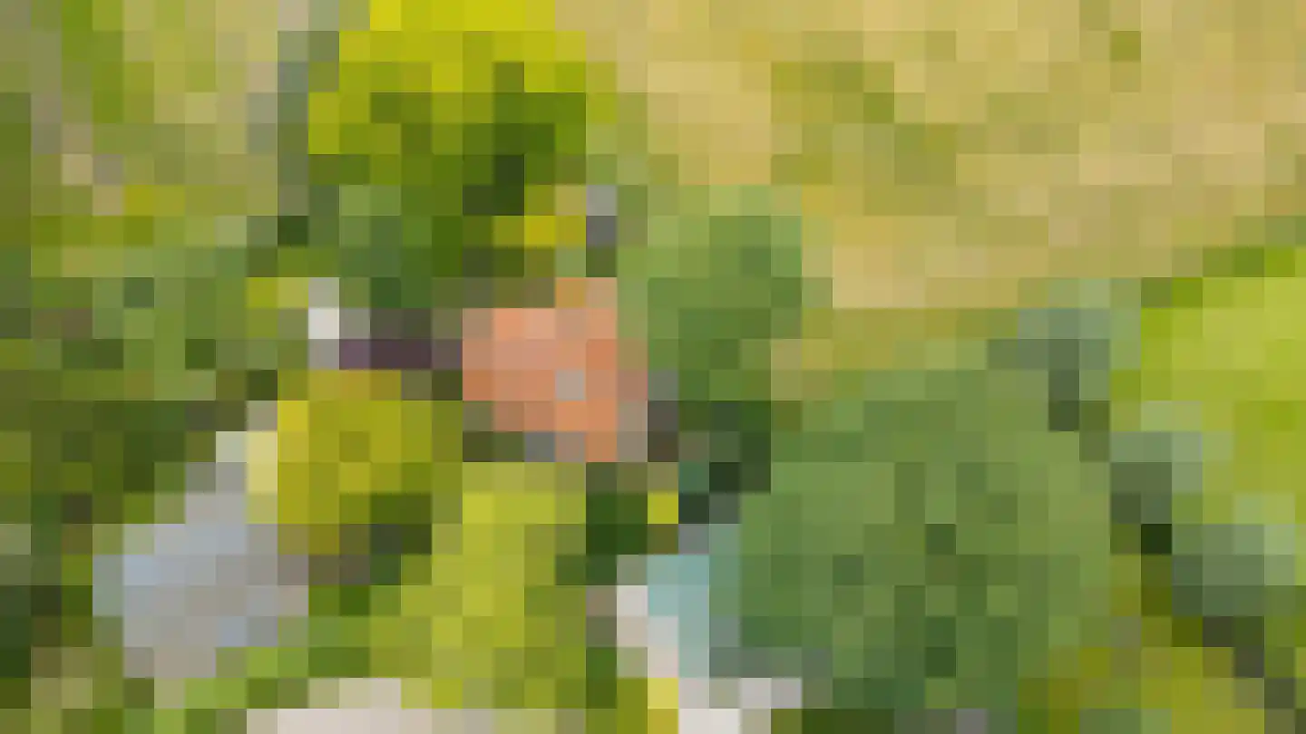 Graaf Floris V weg 32 40 Hollandsche Rading thumbnail 27