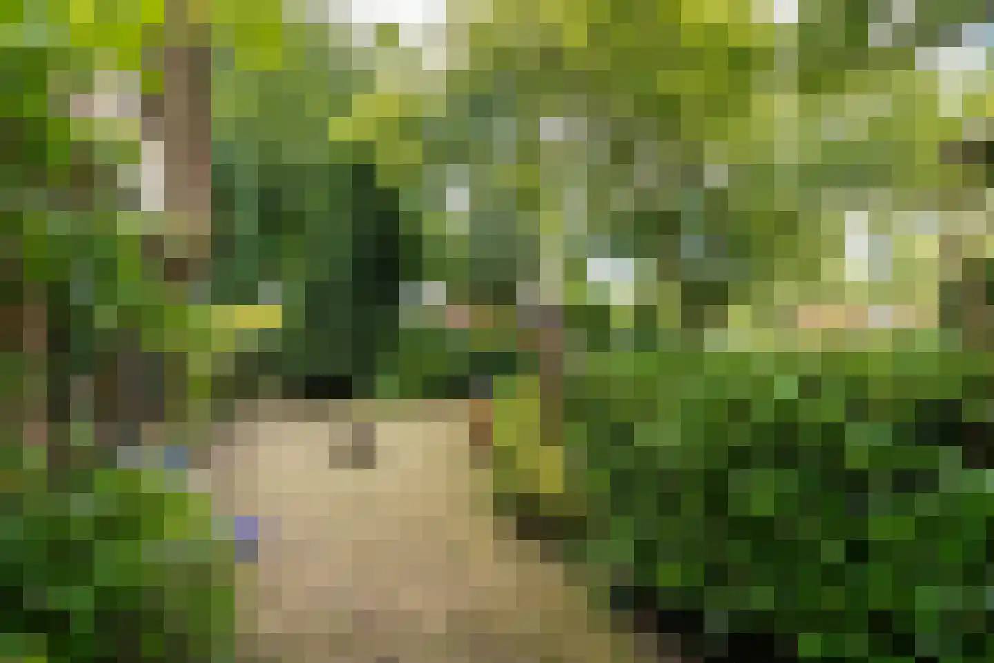 Graaf Floris V weg 32 40 Hollandsche Rading thumbnail 29