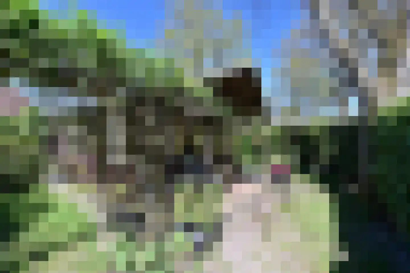 Graaf Floris V weg 32 55 Hollandsche Rading thumbnail 8