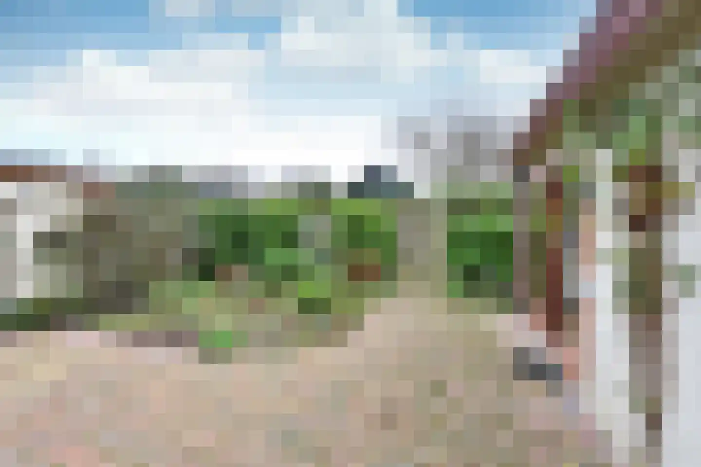 Graaf Floris V weg 37 62 Hollandsche Rading thumbnail 11