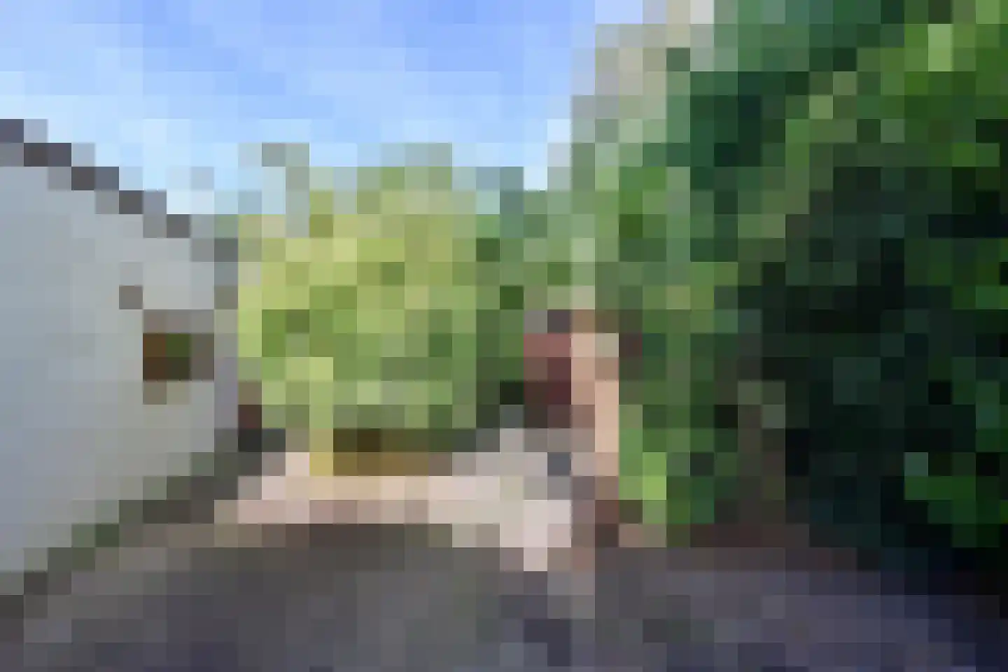 Graaf Floris V weg 37 64 Hollandsche Rading thumbnail 12