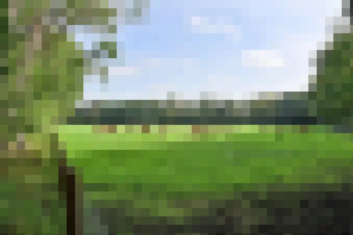 Graaf Floris V weg 37 64 Hollandsche Rading thumbnail 17