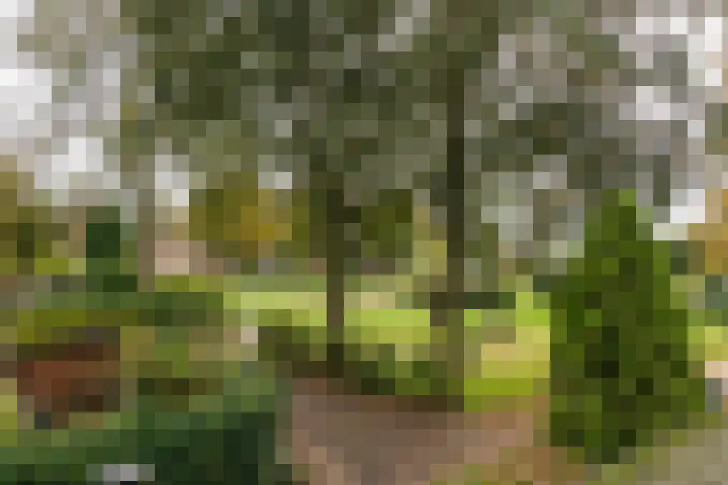 Graaf Floris V weg 37 68 Hollandsche Rading thumbnail 28